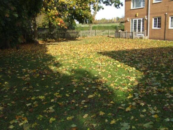 Picture No.14