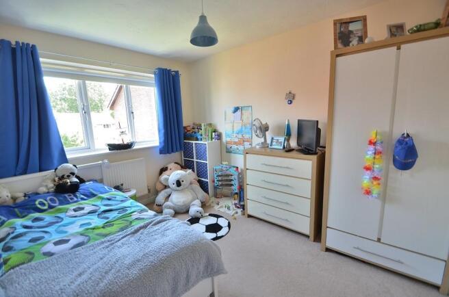 Photo 11