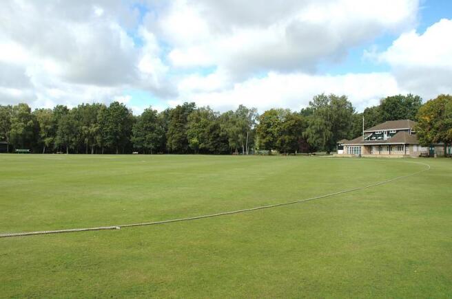Cricket Green