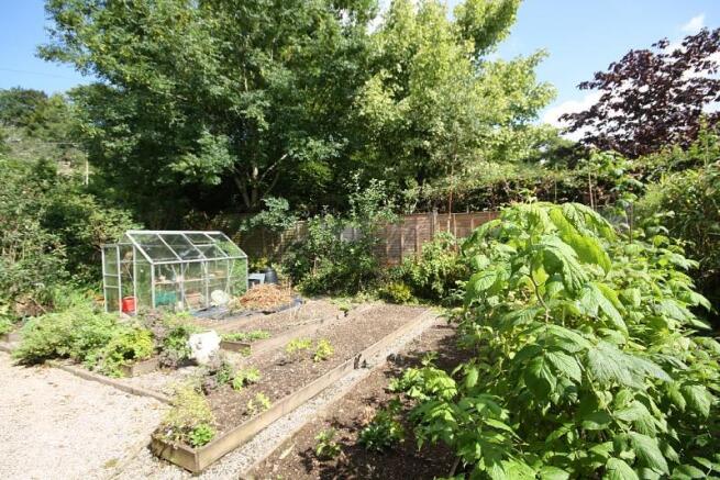 Vegetable Garden