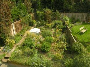 Photo 10