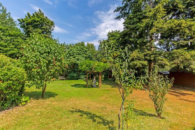 Garden 3.jpg