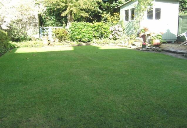 Photo 7