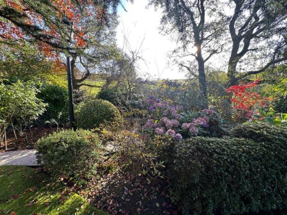 garden 6.jpg