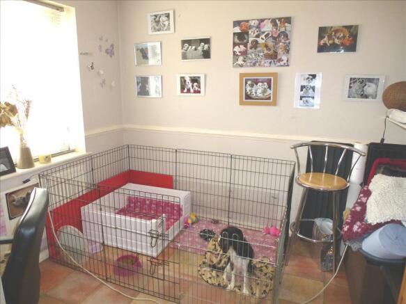 Photo 4