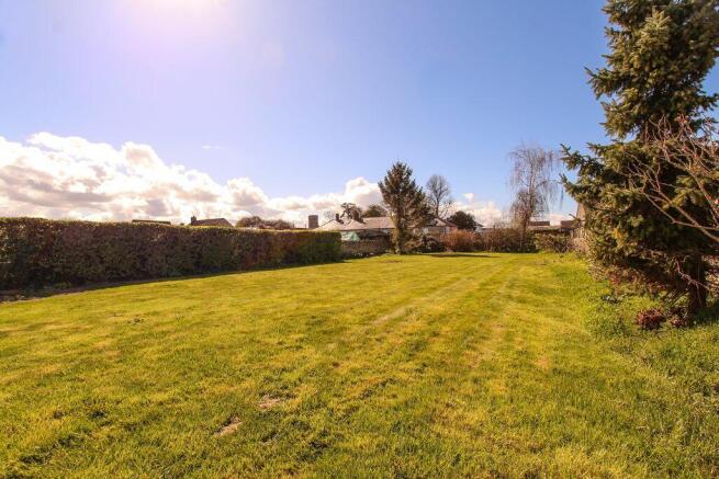 Garden at Back