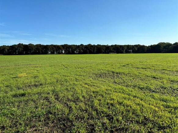 Photo 11-10-2024, 10 34 21.jpg