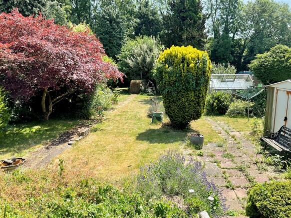 garden.jpg