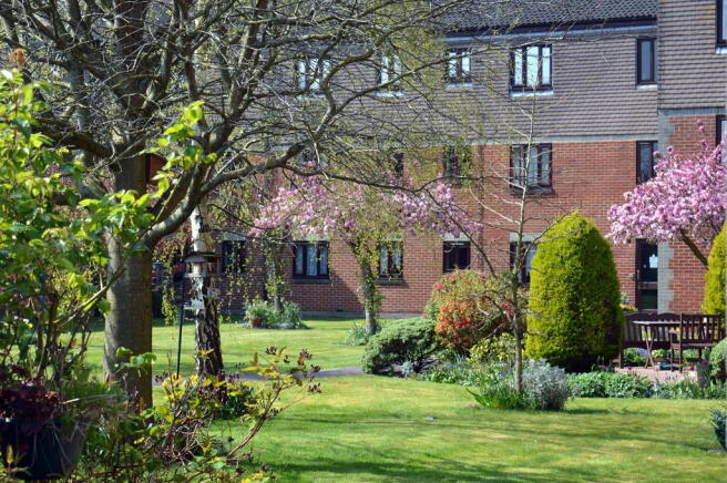 Photo 4