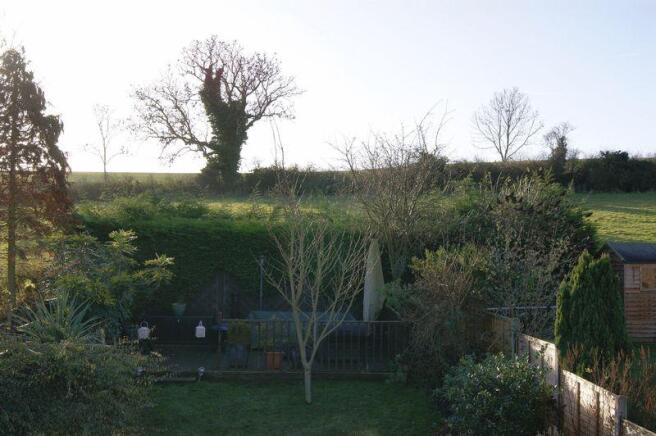 garden and view