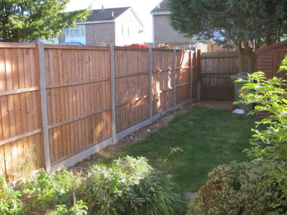 Photo 5