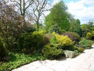 GARDEN PIC 3
