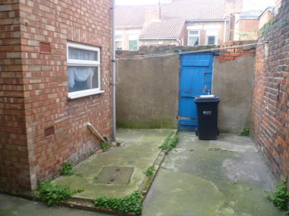 Back yard