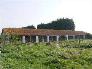 Kennels