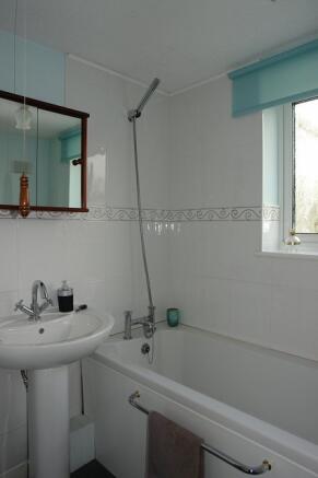 Picture 11