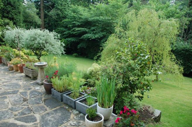 garden