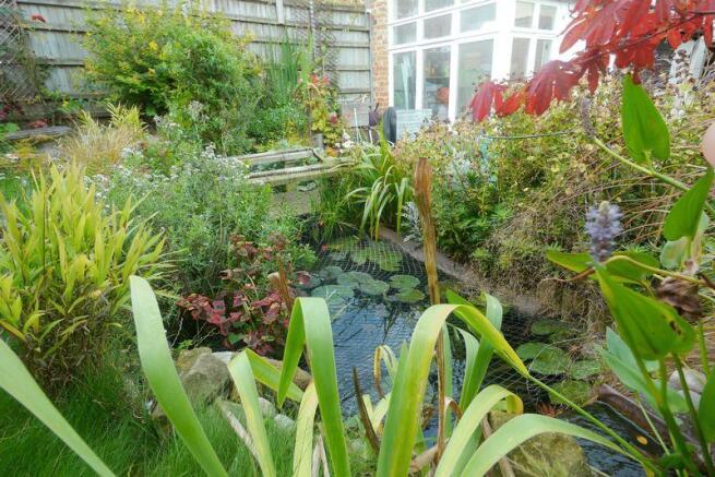 POND