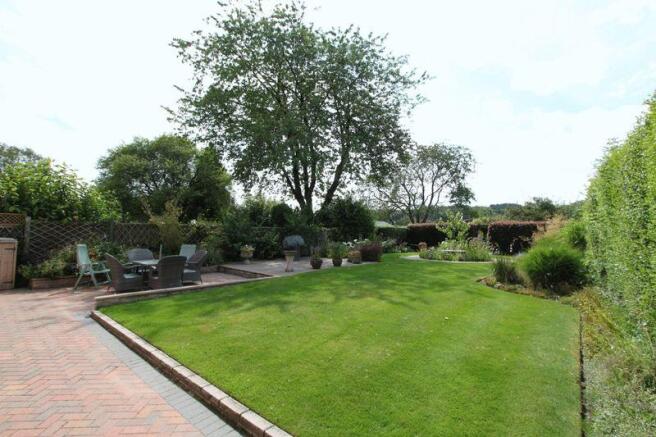 rear garden p1