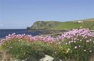 Prawle Point