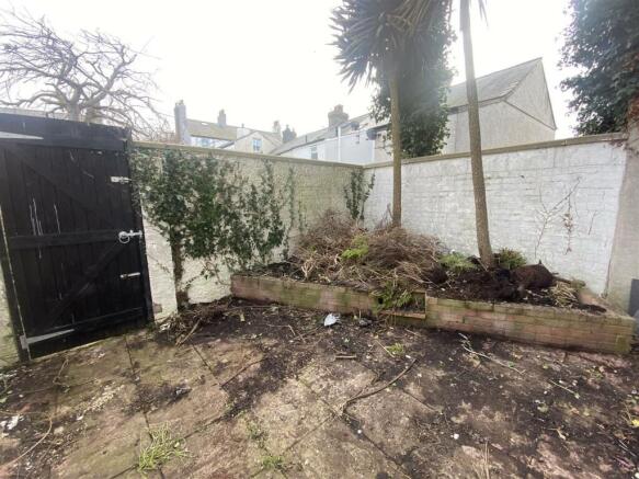 Rear Yard.jpeg