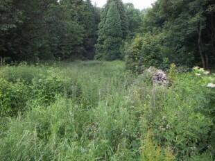 Garden & Woodland