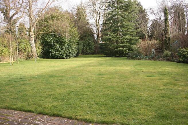 reargarden2.JPG