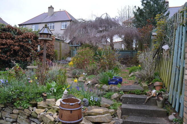 Photo 13