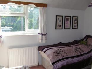 Picture 7