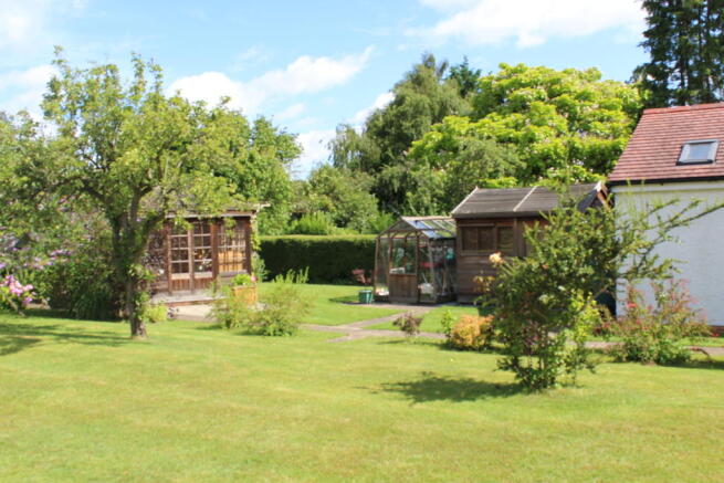 Photo 25