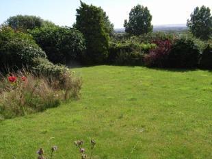 Adjacent Garden