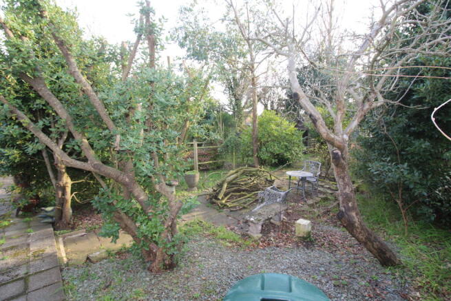 IMG 8355 T202603241534.jpg