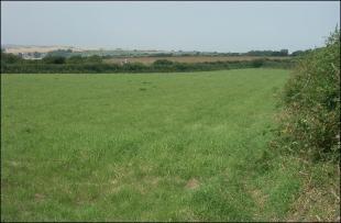 Pasture Land