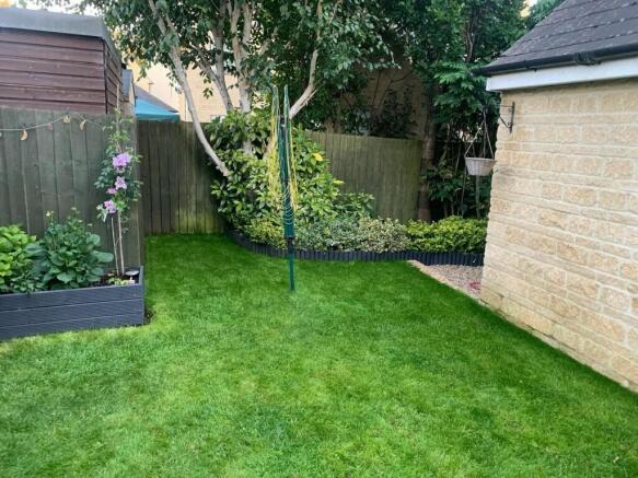 Summer Garden Shot