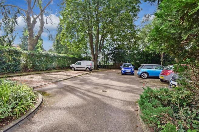 Driveway/Parking
