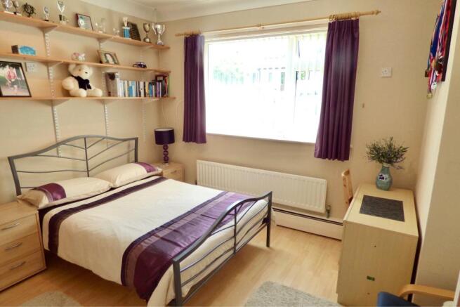 Picture 13