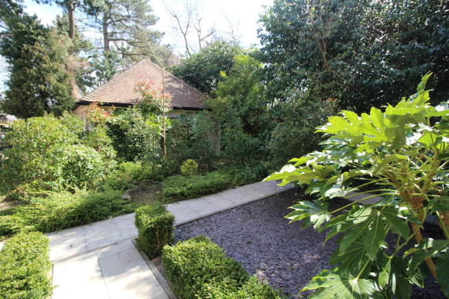 Photo 10