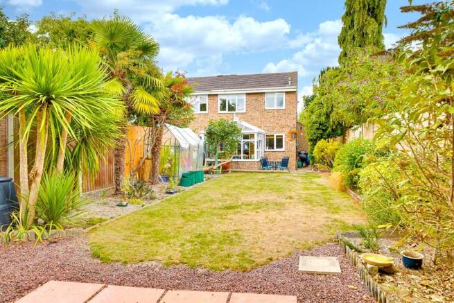 Back Garden