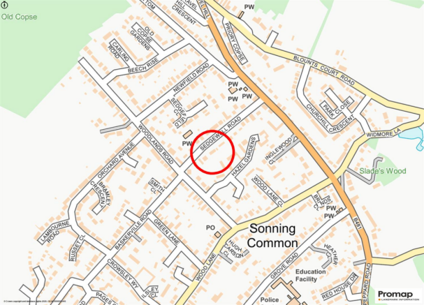 Promap-3176000-3272762-750400-1.png