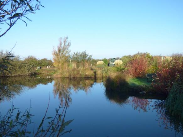 Pond