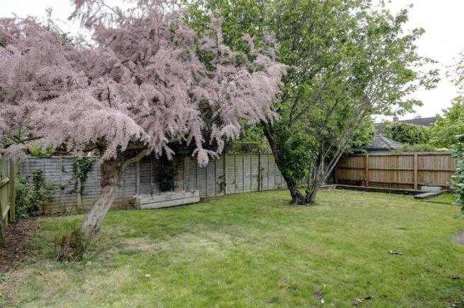 Garden 4.jpg