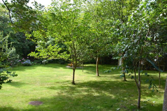 Photo 24