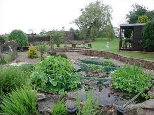 Garden 1