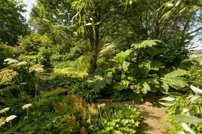 Water Garden