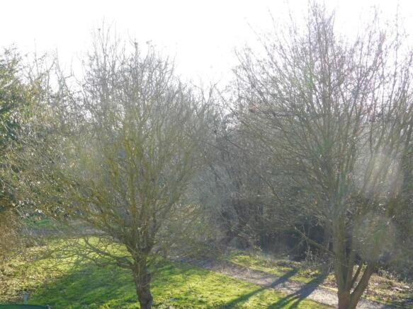 Bedroom View