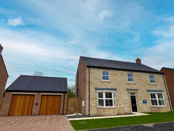 Rose Plot 7 External