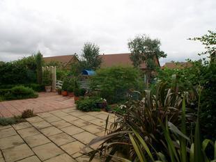 Photo 6
