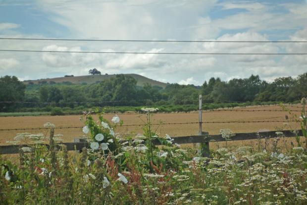 Chiltern View