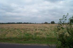 Views to Field