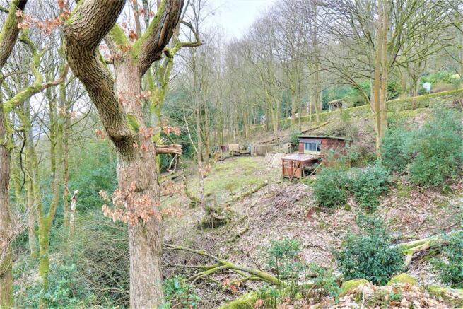 Woodland