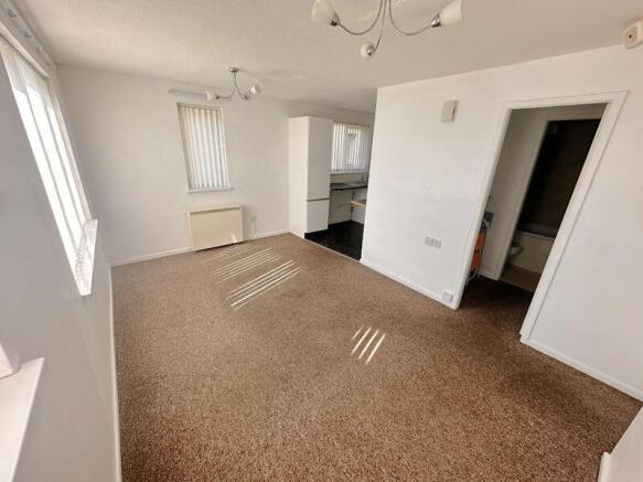 Lounge/Bedroom